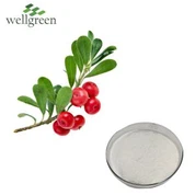 Trab tal-aċidu ursoliku