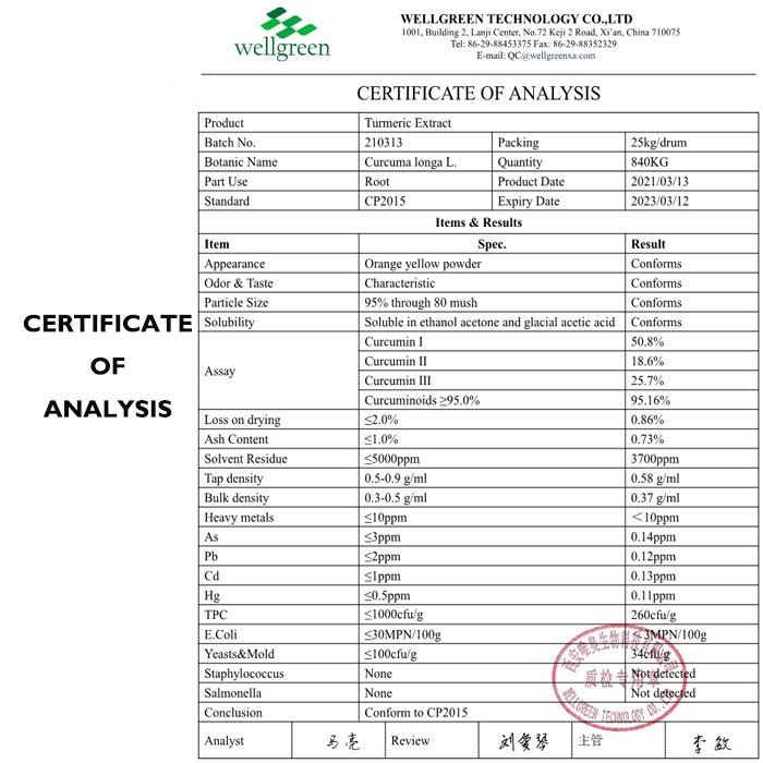 Best Turmeric Extract