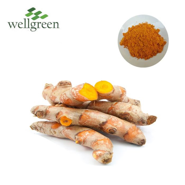 Best Turmeric Extract