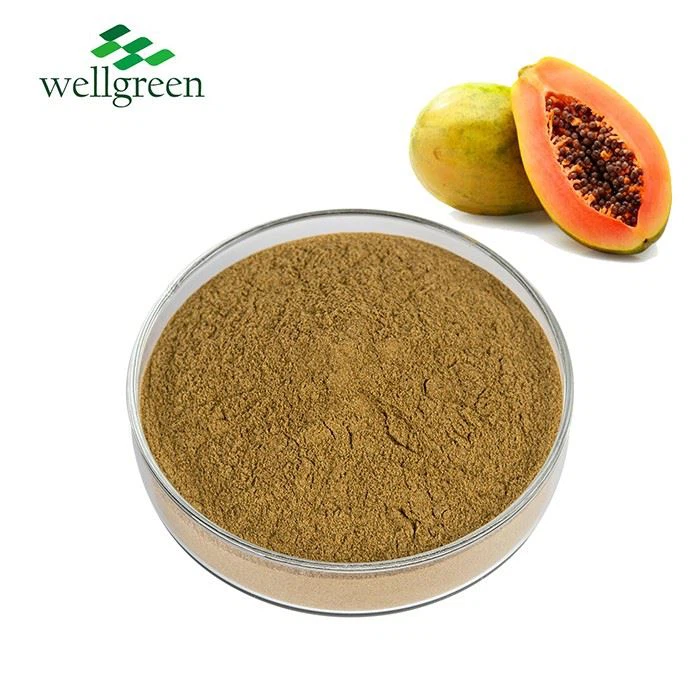 Papaya Extract Powder