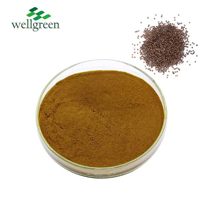 Perilla Seed Extract Powder