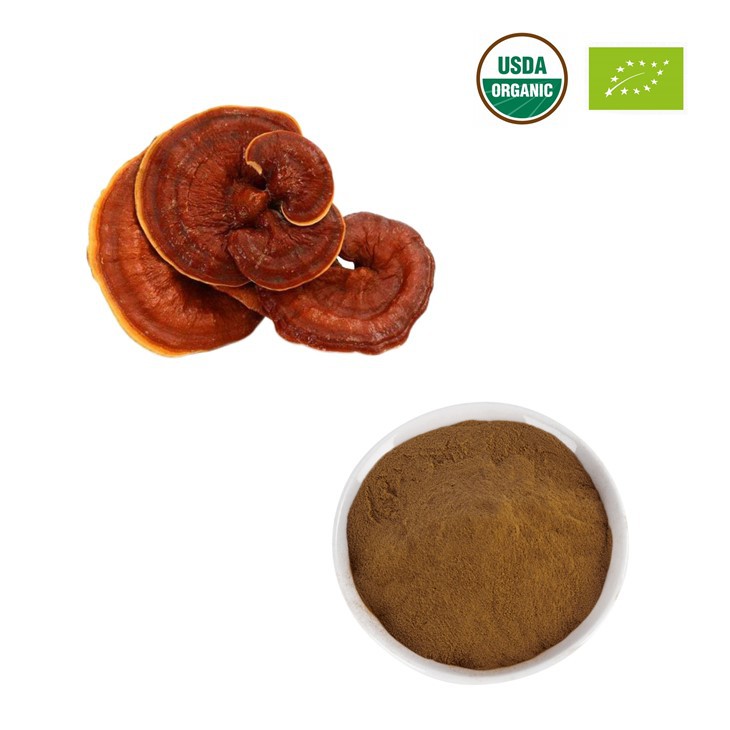 Estratt organiku tal-faqqiegħ Reishi