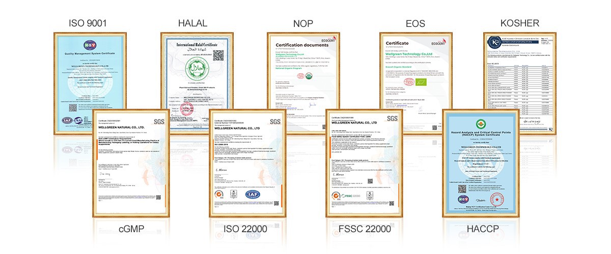 Quality Assurance Quality Assurance