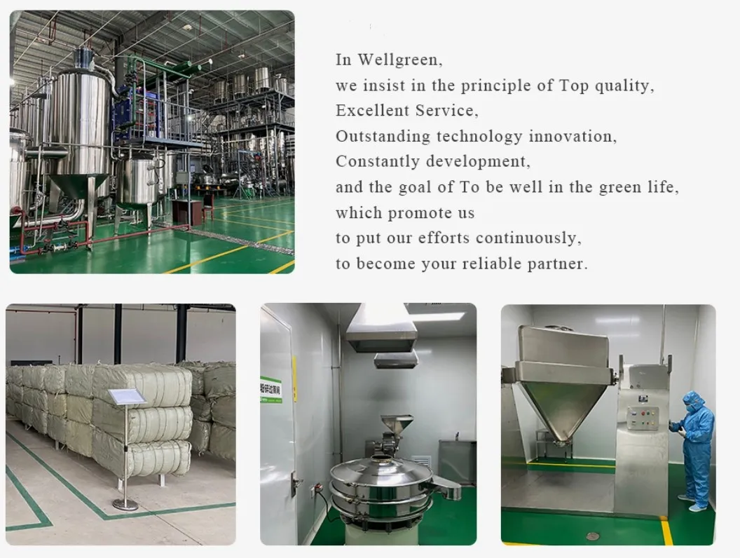 wellgreen factory wellgreen factory